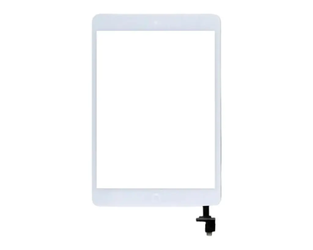 iPad Mini Touch 