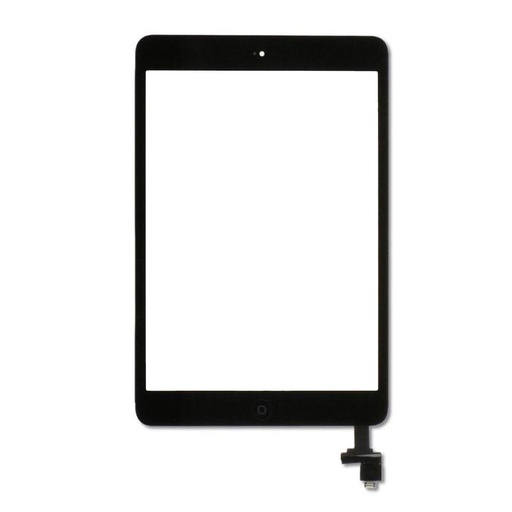 iPad Mini Touch 